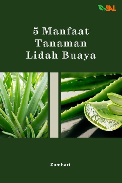 5 Manfaat Tanaman Lidah Buaya